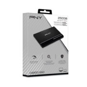 SSD PNY_2